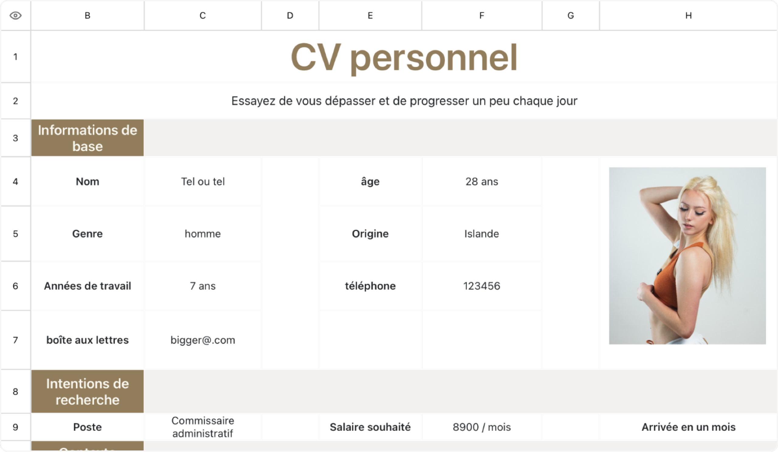 CV du Commissaire administratif